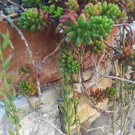 Residenza Il Poggio * سان بارتولومِيو آل ما