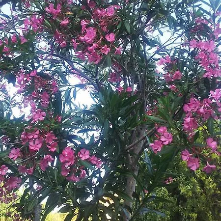 شقة Residenza Il Poggio *