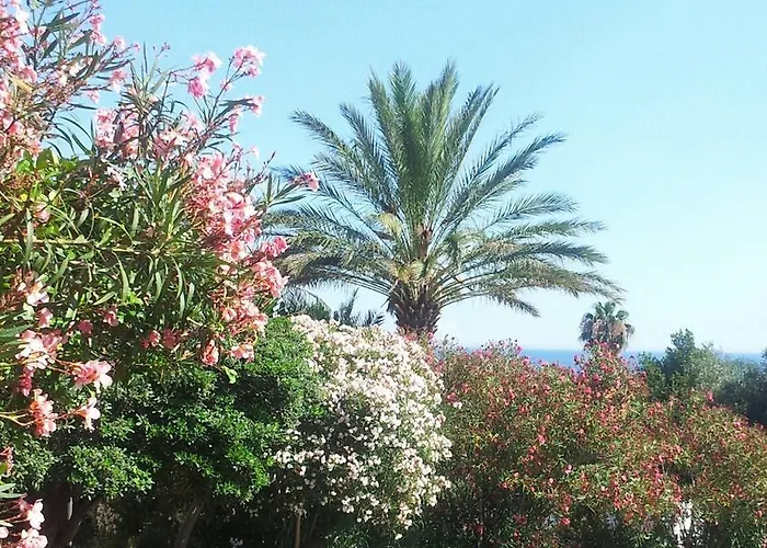 Il Poggio