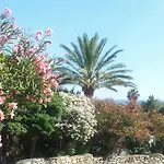 Il Poggio